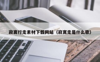 沈阳寂寞行走素材下载网站（寂寞走是什么歌）