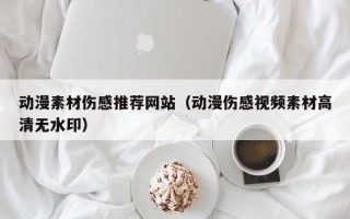 沈阳动漫素材伤感推荐网站（动漫伤感视频素材高清无水印）